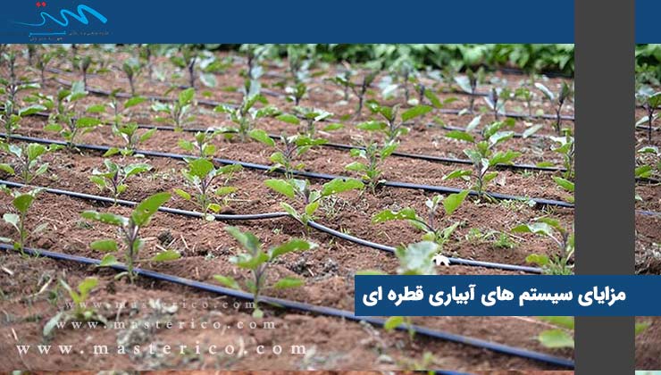 مزایای سیستم های آبیاری قطره ای