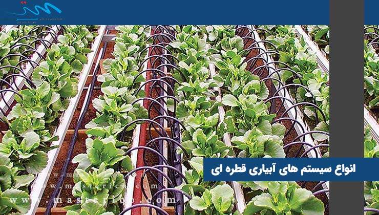 انواع سیستم های آبیاری قطره ای